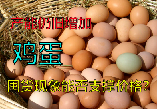 产能仍旧增加，鸡蛋囤货现象能否支撑价格？